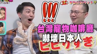 【精華版】台灣寵物咖啡廳 用餐體驗嚇壞日本人