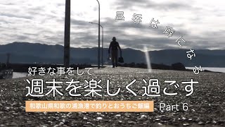 【釣りとおうちご飯】和歌山和歌の浦漁港で釣りとおうちご飯編−好きな事をして週末を楽しく過ごす  Part6 #ウィークエンド #調理動画 #うみ