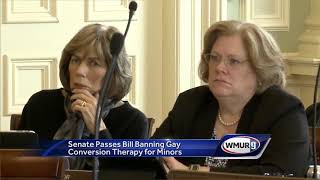 State Senate again backs bill to ban gay conversion therapy