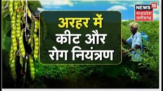 Annnadata | अरहर की फसल में लगने वाले कीट और रोगों पर ऐसे करें नियंत्रण | Latest News | Farming