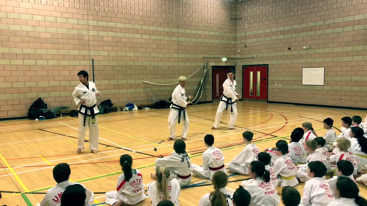 Po Eun Tul | Instructor Demonstration | ITF Taekwondo Pattern | UKTC ...