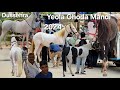 Yeola mandi 2024 | 1st horse market in Maharashtra | baby horse's | gauran marwadi kathiyawad ghode