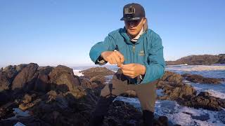 温哥华岛 托非诺 悬崖海钓 感受太平洋海浪的力量 Vancouver island Tofino cliff fishing kelp Greenling