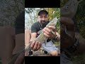 Here's some fish from this Fishing Season. Part 1 #Fishing #bass #carp #catfish #living #life