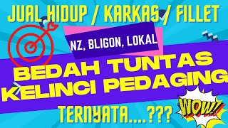 Bisnis Kelinci Pedaging (Jangan Jual Karkas dan Fillet) jika belum Belajar Analisa Usaha Kelinci