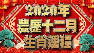 【2020年十二生肖】农历12月生肖月运程