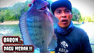 Mancing Nila Liar Dihajar SiDagu Merah.!!! Bunglai Riam Kanan...