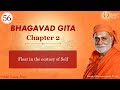 061 - Float in the ecstasy of Self | Bhagavad Gita | Swami Bhoomananda Tirtha