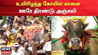 Sivagangai | வயது முதிர்வால் உயிரிழந்த கோயில் காளை, மாலைகள் அணிவித்து மேளதாளத்துடன் இறுதி ஊர்வலம்