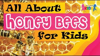 All About Bees | 10 facts about honey bees | Bright kids