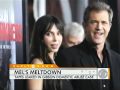 Mel Gibson's Possible Penalty