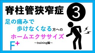 【腰部脊柱管狭窄症】③ 腰や足が痛くて歩けない方へのホームエクササイズ　足の痺れ　training編