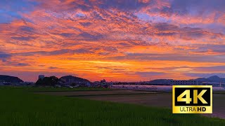 【4K】A walk in the countryside at dusk, summer in Japan | Fukuoka, Japan |