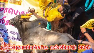 நல்லமநாயக்கன்பட்டி ஜல்லிக்கட்டு 2023 || Nallamanayakanpatti jallikattu 2023