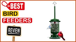 ✅ Best Bird Feeders Reviews In 2023 ✨ Top 5 Items Reviewed