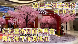 【巴士河遊氹仔市區】20220202攝｜澳門遊巴士河到氹仔市區｜新年氹仔地堡街市況｜星皓廣場櫻花樹下佈滿桃花｜大雞批早餐｜Taipa｜Nova Mall