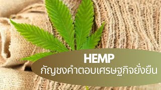 กัญชง คำตอบเศรษฐกิจยั่งยืน Hemp: Solution to Thai Sustainability