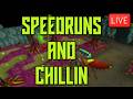 CM SPEEDS - HCIM BANDOS (Give Tassets Pls) | LIVE 🎤