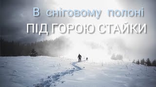 В СНІГОВОМУ ПОЛОНІ ПІД ГОРОЮ СТАЙКИ