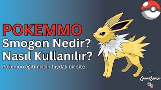 PokeMMO Smogon Nasıl Kullanılır? Pokemon Eğitiminde Faydalı Bir Site