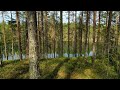 videoblocks aerial view of the lake and forest in finland beautiful nature of finland r9rhcyqrr 1080