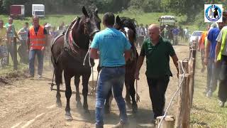 Memorijalna štraparijada u Gornjoj Mravici kod Dušanića -05.08.2018.