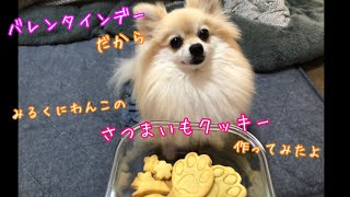 【わんこのおやつ】簡単！さつまいもクッキー作ってみた🎶