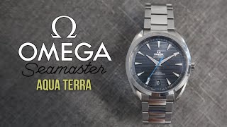 OMEGA Seamaster Aqua Terra Automatic Best Everyday Watch or Is it Boring? - 220.10.41.21.03.002