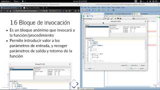 SQLDeveloper: debuguear funciones y prodedimientos de PLSQL