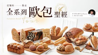 從麵粉到餐桌｜全系列歐包聖經