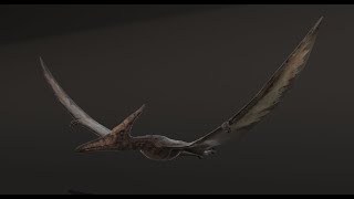 Pteranodon Animation