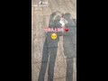 抖音tiktok 看完這個視頻 你就知道男人為什麼叫大豬蹄子了