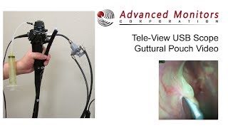 Tele View USB Scope Guttural Pouch Video 17 03 02