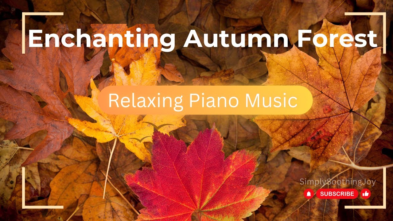 Magical Autumn Forests Unveiled Serene Piano Tunes Accompany