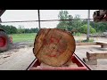 100+ Year OLD CYPRESS tree on the Sawmill! (Beautiful Grain Pattern!!!)