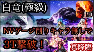 【FFBE】真降臨 白竜(極級)をNVゲージ削りキャラ無しで3ターン撃破！【装備紹介あり】