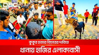 কুকুরের জন্য শোকের মাতম নরসিংদীর গ্রামজুড়ে | DBC NEWS Special