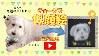 【イヌ🐶💞似顔絵】22匹めのお友達  チャーチャくん編🐾ペットちゃんと一緒にチョークアートを楽しもう🐈️リアルなイラストの描き方が分かる🐕️ワンちゃん\u0026ネコちゃん好きな方へイラストのプレゼントを💕