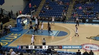 Highlight Video of Thanasis Antetokounmpo (11 points) vs. Erie BayHawks