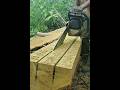 Full video👆👆👆 Chainsaw beautiful wood cutting skill #chainsaw #woodcutting #shortvideo