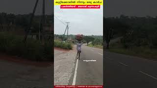 കുറ്റിക്കോലിൽ നിന്നുമൊരു കാഴ്ച