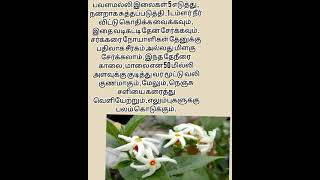 பவளமல்லி பயன்கள் #viral #healthytips #tips