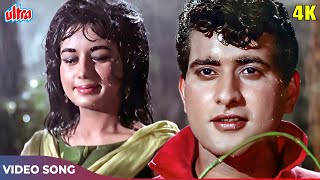 Jaan E Chaman Shola Badan 4K - Mohd Rafi Romantic Hits - Manoj Kumar, Nanda - Gumnaam Songs