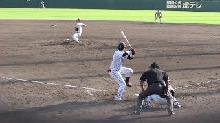 2016 阪神タイガース 陽川尚将選手 第13号 サヨナラホームラン