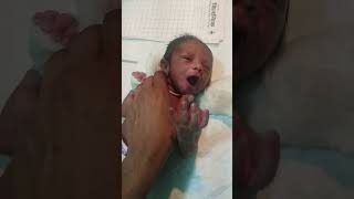 ❣️ new born baby 😍 hungry 🤤#viral #trending #youtubeshorts #cutebaby #cute #hungry #baby #shorts