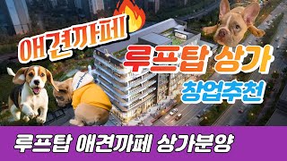 ★루프탑상가★독점 애견까페 루프탑상가 창업추천.상가분양