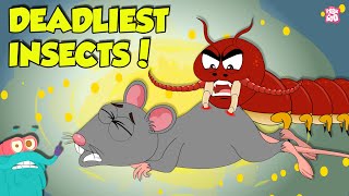 Deadliest Parasites How Ticks Suck Blood What If A Tick Bites