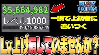 【ブロックスフルーツ】すぐ追いつける！数日で1000レベル上げたコツを教えます【Blox Fruits】