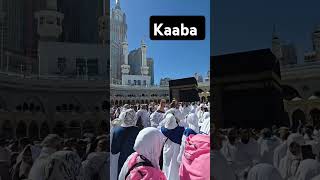 Tawaf kaaba umrah mecca makkah live madina live hajj 2025live #makkah #madina #mecca #shorts live