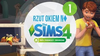 Rzut Okiem na The Sims 4 \